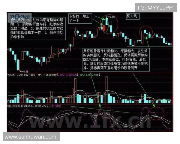 重庆足球队的快速转换战术解析与实战应用探讨