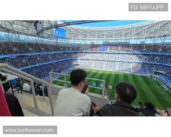 赵伟独家解析足球技巧与战术分享助你提升球技与观赛体验