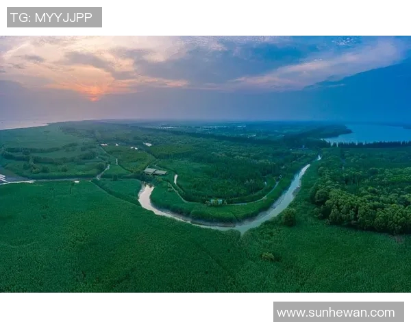 上海飞盘队实力分析与发展前景探讨之全景观察 上海飞盘队实力分析与发展前景探讨之全景观察